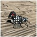 Goldeneye Duck Handmade Keychain Ring Hook Clip Charm Miniature Wood Figurine Small Bird Animal