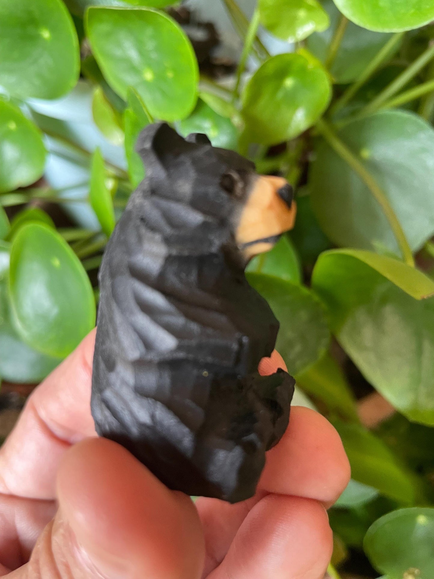 Handmade Carved Maple Wood Black Bear Fridge Magnet