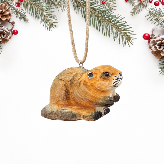 Hand-carved wooden Beaver ornament with tan and brown carved fur, dark front paws and a gray base, hanging by twine from a silver eye hook on its back, on a white background with pine branches.