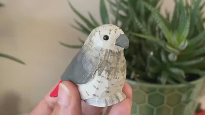 Grey Parrot Ornament