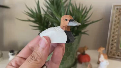 Canvasback Duck Ornament